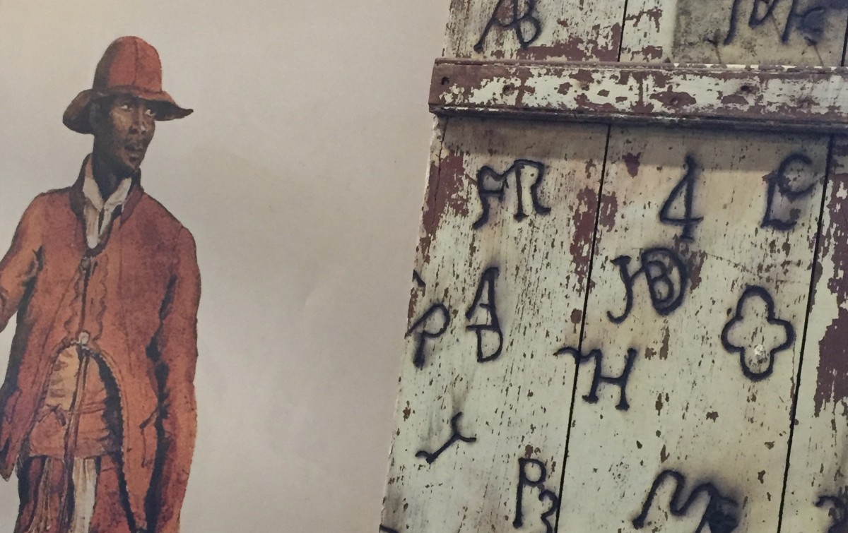 Exposição Museu Afro Brasil