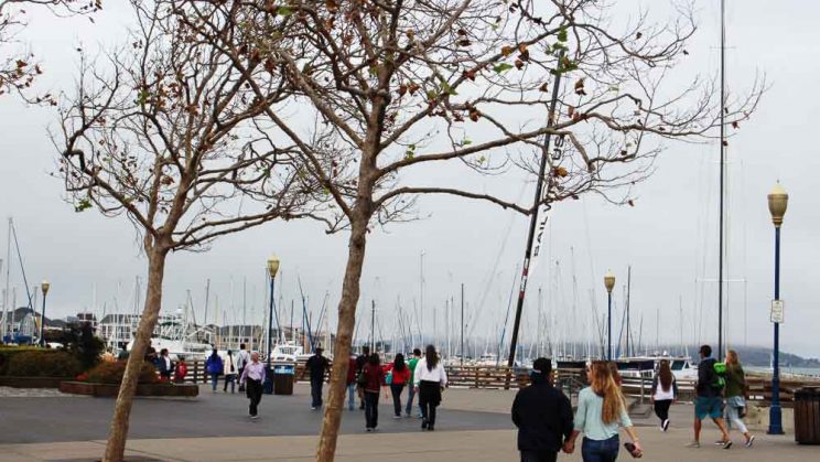 Porto de São Francisco, Califórnia