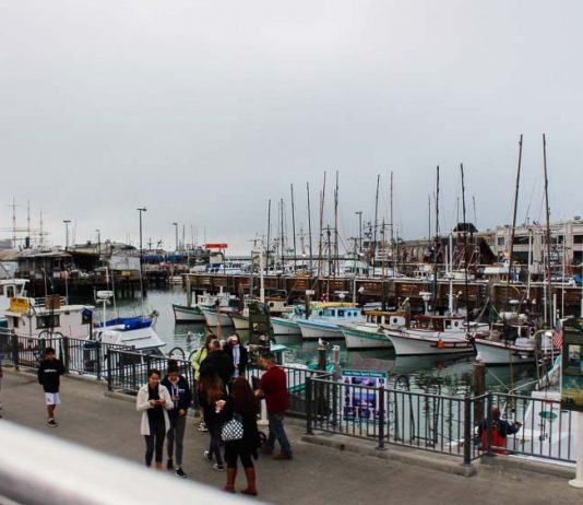 Onde ficar em São Francisco: Fisherman’s Wharf ou Union Square? Porto de São Francisco, Califórnia