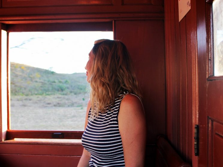 Dentro do Passeio Maria Fumaça Dentro do Passeio Maria Fumaça