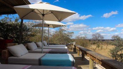 area-do-baobab-ridge-como-foi-fazer-um-safari-na-africa-do-sul