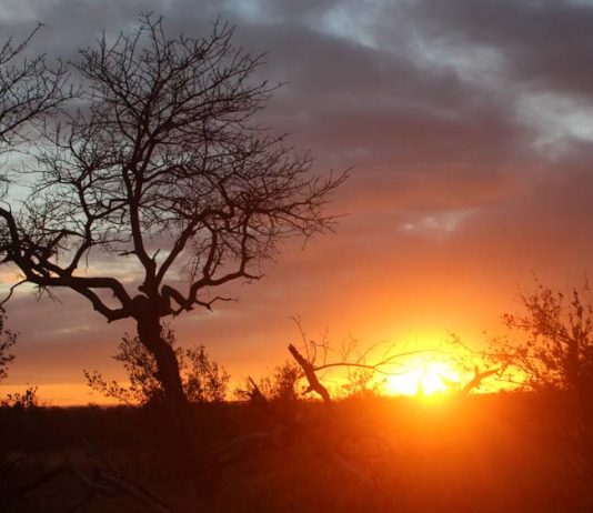 Como foi fazer um safari na África do Sul por-do-sol-safari-africa-do-sul
