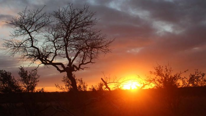safari-africa-do-sul por-do-sol-safari-africa-do-sul