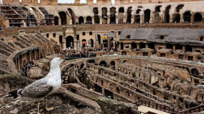 coliseu-forum-romano-italia