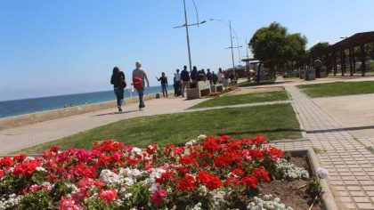 orla-viña-del-mar-chile