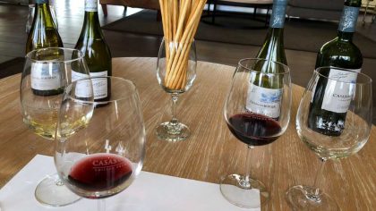 degustação no valle de Casablanca