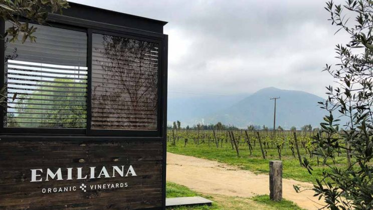 vinicola-emiliana