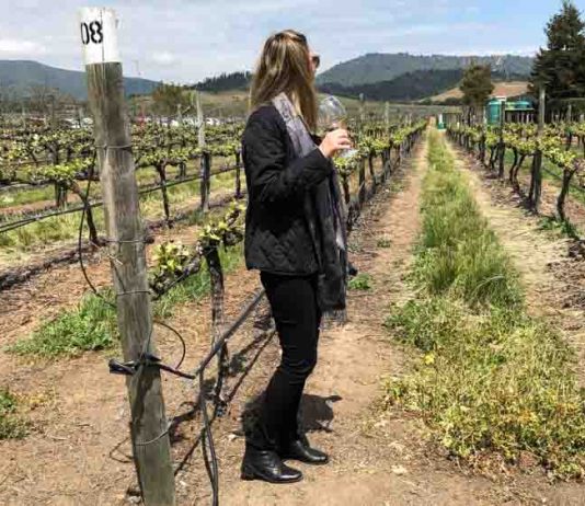 Vinícolas do Valle de Casablanca: Emiliana e Casas del Bosque post-capa-vinícola