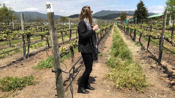 post-capa-vinicola post-capa-vinícola