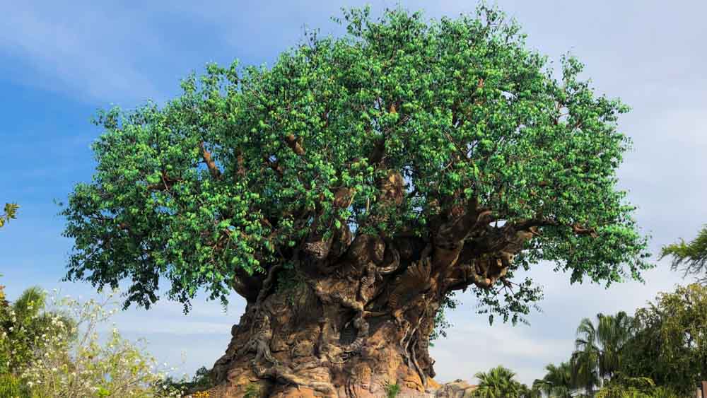 arvore animal kingdom -Parques da Disney Orlando