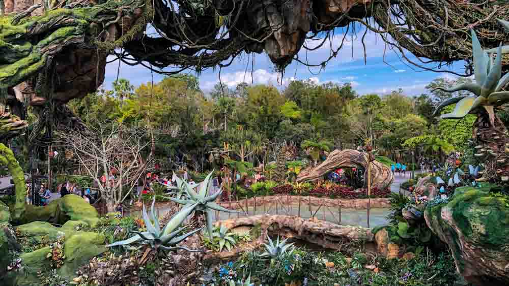 Pandora no Animal Kingdom - Parques da Disney Orlando