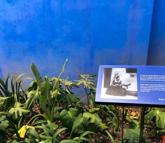 Casa Azul Frida Kahlo no México casa azul Frida Kahlo