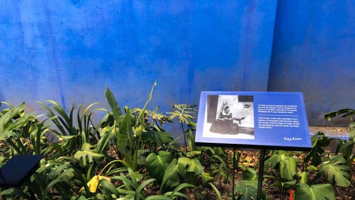 quadro-jardim-Casa-Azul casa azul Frida Kahlo