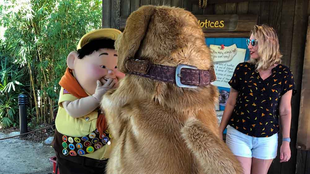 melhor época para ir a Disney