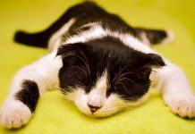 Não estou conseguindo ser produtiva nesse período, isso é um problema? Não estou conseguindo ser produtiva