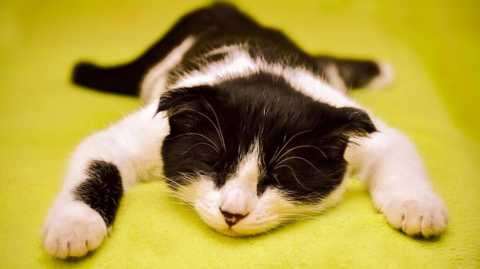 Não estou conseguindo ser produtiva Não estou conseguindo ser produtiva