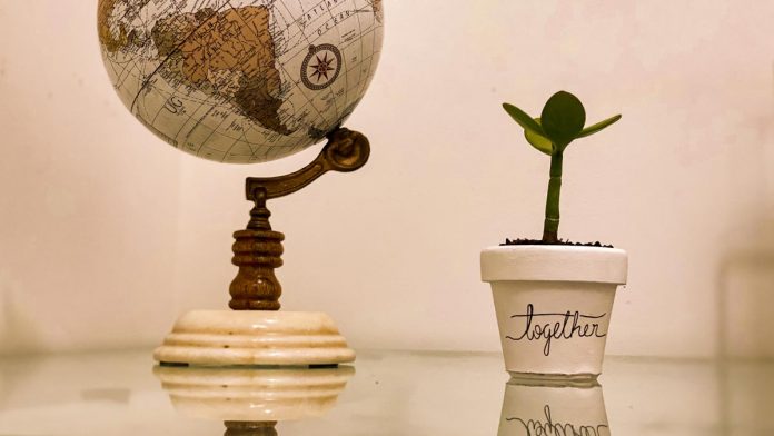 como ser mais sustentável no dia a dia_ como ser mais sustentável no dia a dia