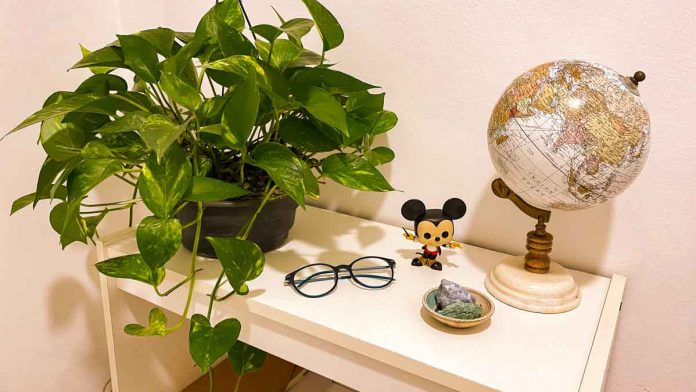 casa aconchegante casa acolhedora