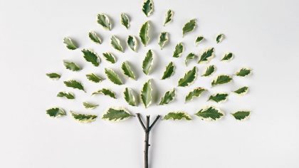 minimalismo e sustentabilidade