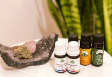 Diário da Quarentena: Maio e Junho. Confira aqui como foram esses 2 meses Diário da quarentena maio e junho