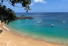 Melhor operadora de celular em Fernando de Noronha: tudo o que você precisa saber para se manter conectada na ilha melhor operadora em Noronha