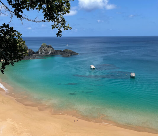 Melhor operadora de celular em Fernando de Noronha: tudo o que você precisa saber para se manter conectada na ilha melhor operadora em Noronha
