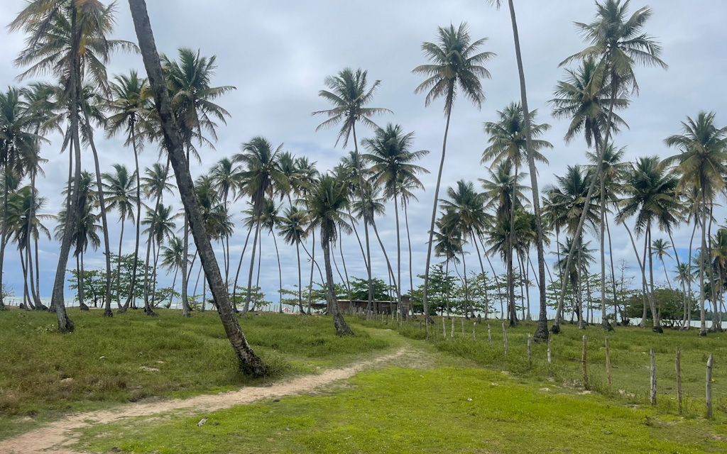 trilha praia da cueira
