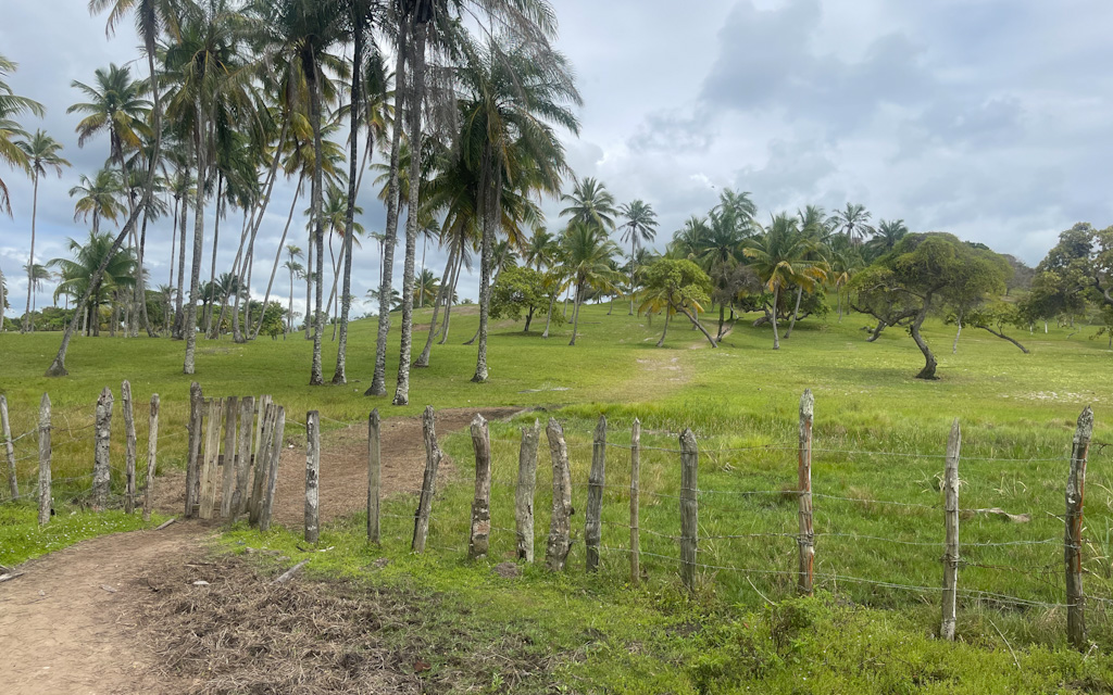 trilha para a praia da cueira