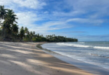 Praia da Cueira em Boipeba: Como chegar e o que fazer praia da cueira boipeba