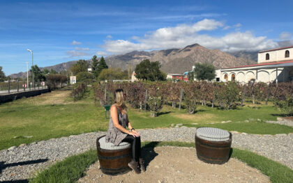 cafayate o que fazer em salta